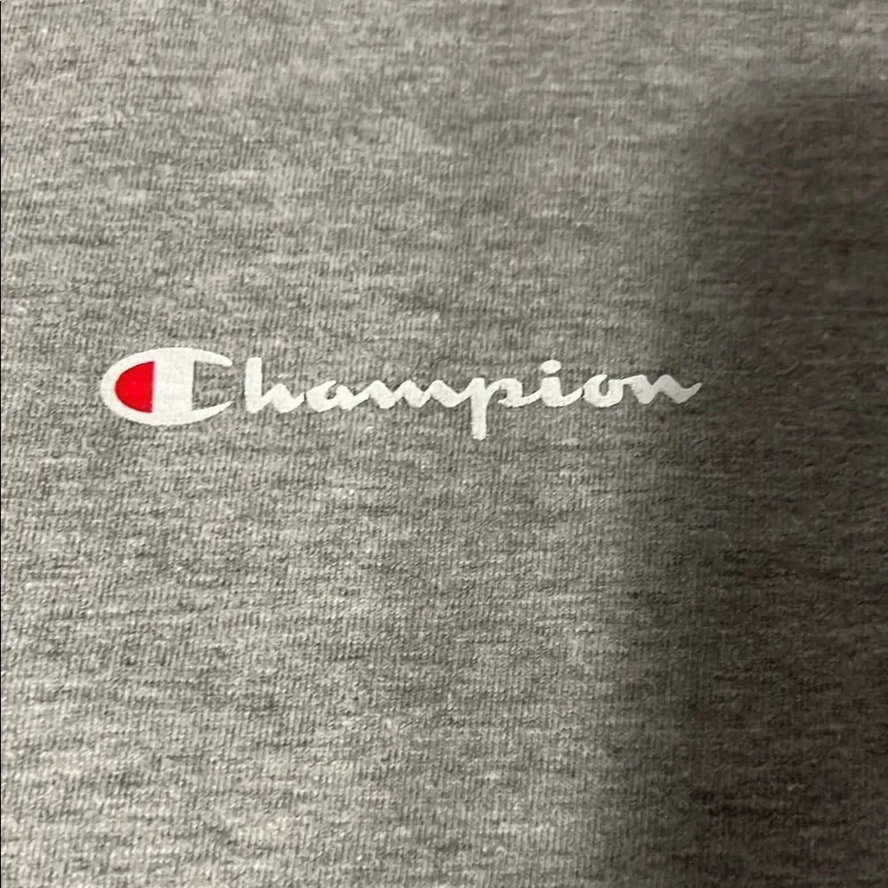 Champion Men's Gray T-Shirt - Picture 3 of 7
